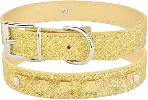 DHDM Collar personalizado para perro con diamantes de imitación de cuero, con nombre de gato (color blanco-dinosaurio doodle4, tamaño L 14.2-18.1 in)