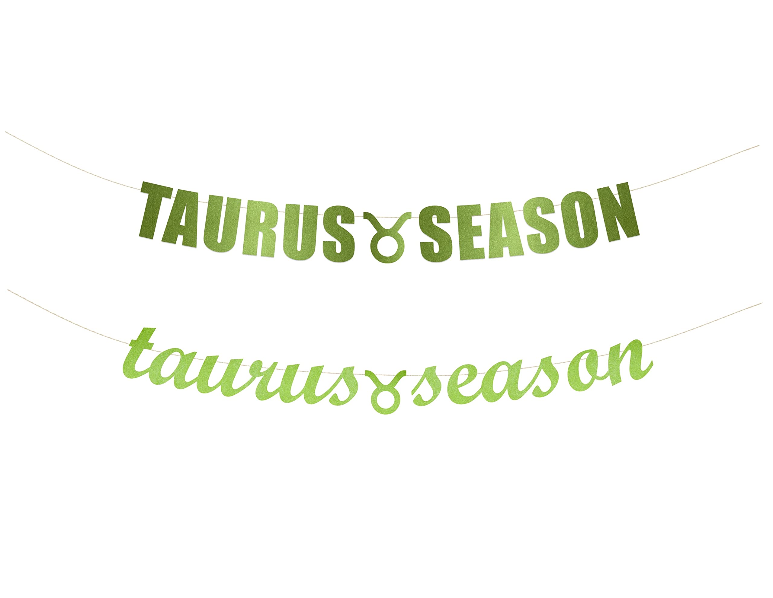 Taurus Season banner - Taurus, Horoscope Zodiac, Taurus Birthday Decoration, Star Sign party Hanging letter sign (Customizable)