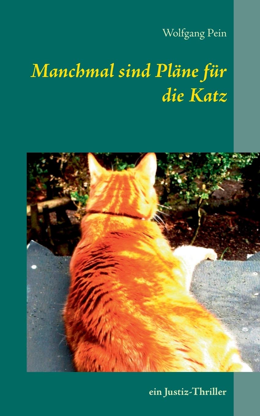 Manchmal sind Pläne für die Katz: ein Justiz-Thriller (German Edition)