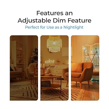 ぶるー Bluex Bulbs 4 Pack 5/6 Inch LED Disk Lights 5CCT Dimmable