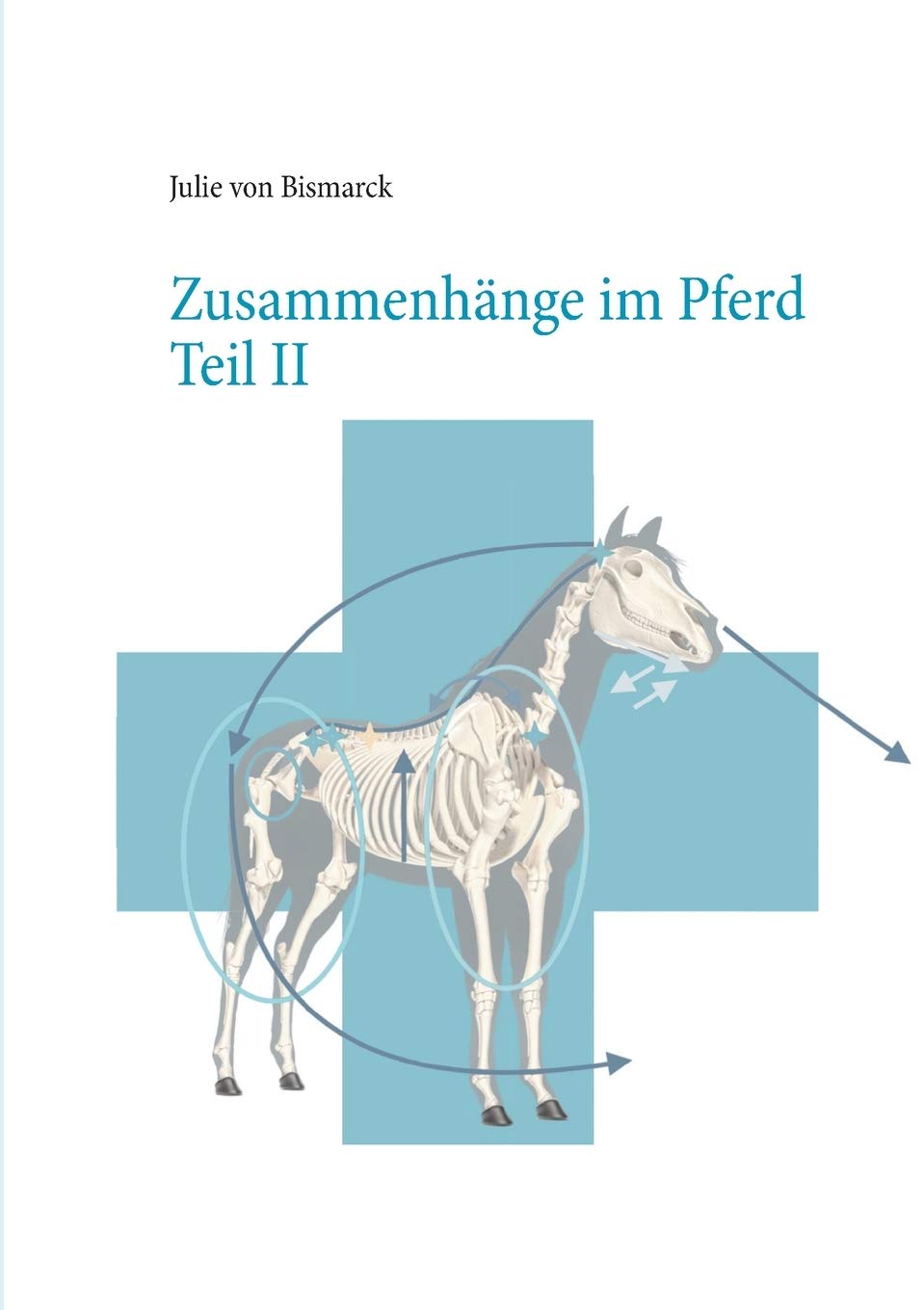 Zusammenhänge im Pferd Teil II