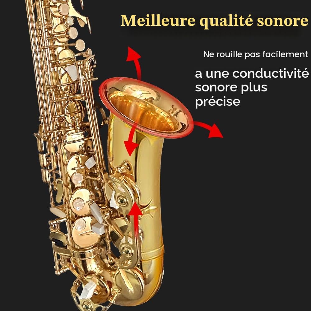 Saxophone alto débutant pour adultes et étudiants, saxophone Eb professionnel en laiton, étui, embouchure, anches, gants, chiffon de nettoyage et brosse (doré)