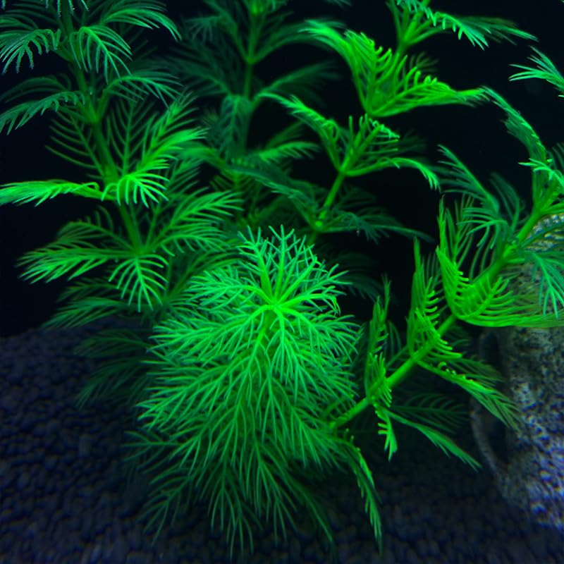 Plantas artificiales de acuario de 8.6 pulgadas, decoraciones de peceras de plástico, plantas acuáticas verdes realistas, accesorios para acuarios, terrarios (X1213-verde) — view 7