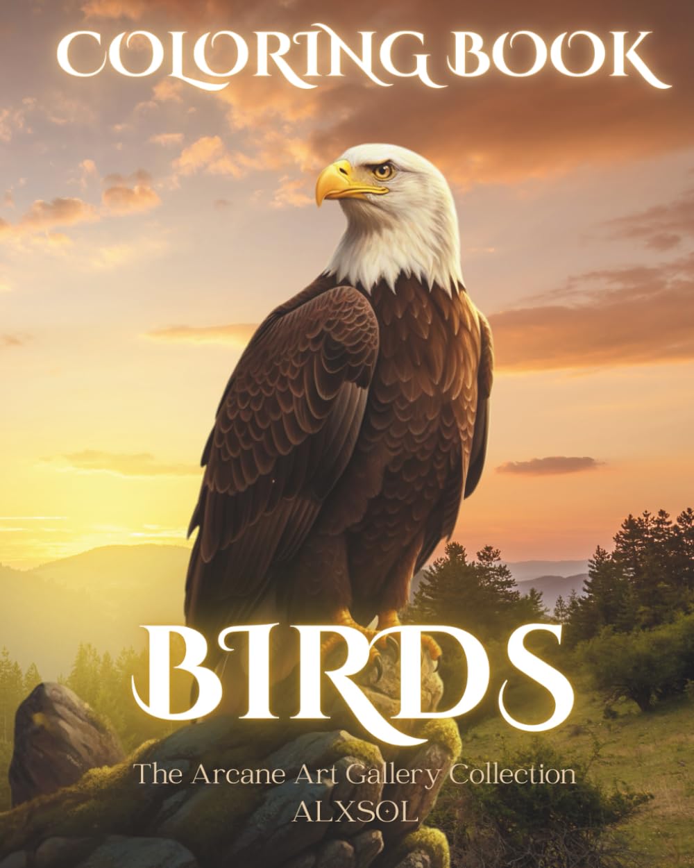 BIRDS – Fantasy Coloring Book: A Relaxing Coloring Book for Teens & Adults | 30 Detailed Bird Illustrations | The Arcane Art Gallery Collection (The ... Gallery – ALXSOL Coloring Book Collection)