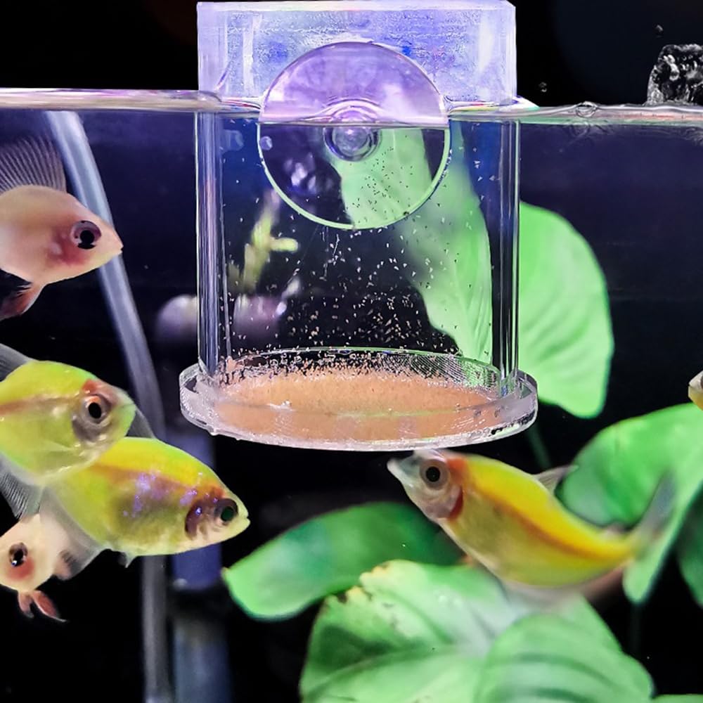 Garnelen Futterschlauch Set - Aquarium Futterröhrchen Mit Saugnapf & Zubehör