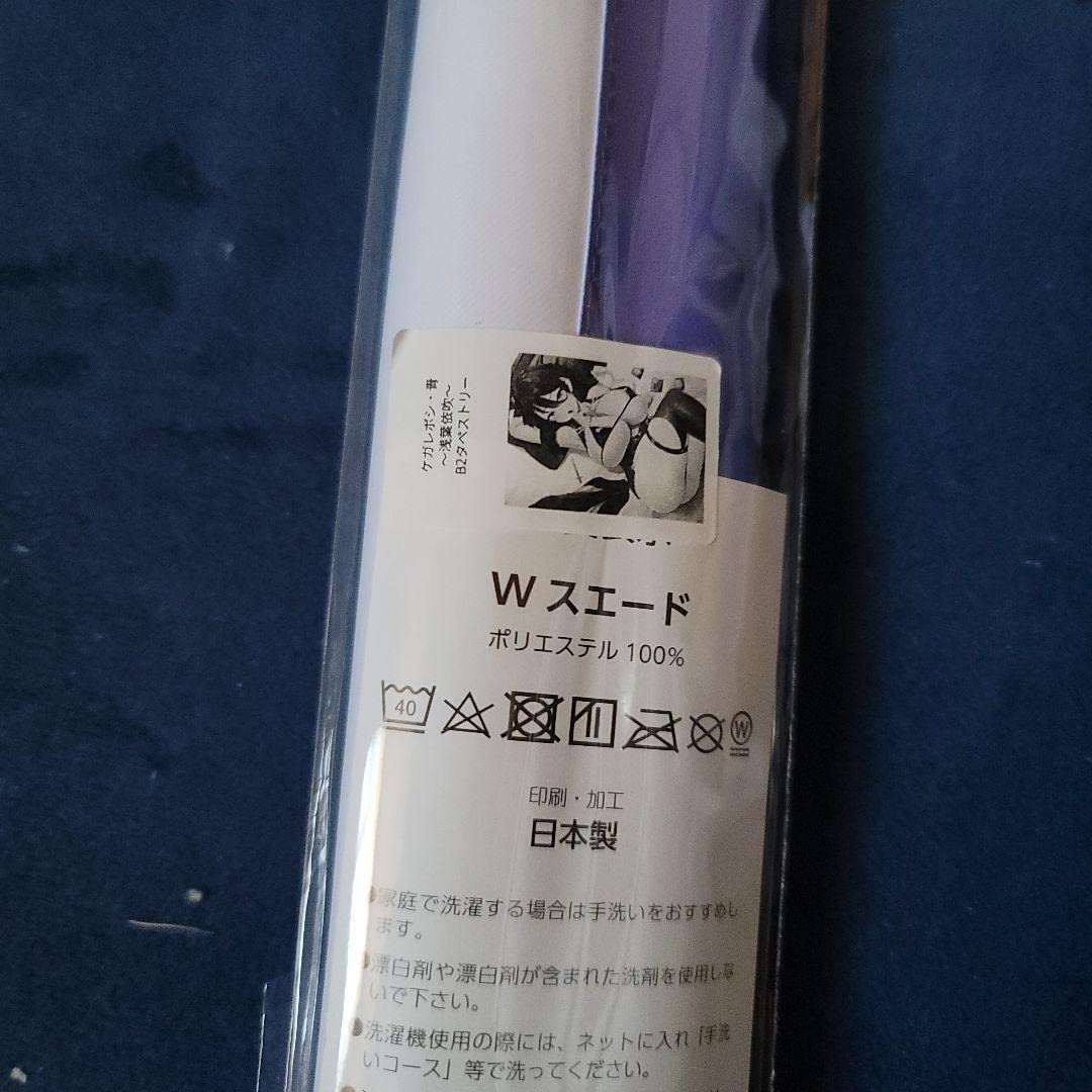 Amazon.co.jp: 左藤空気 ケガレボシ タペストリー : おもちゃ 