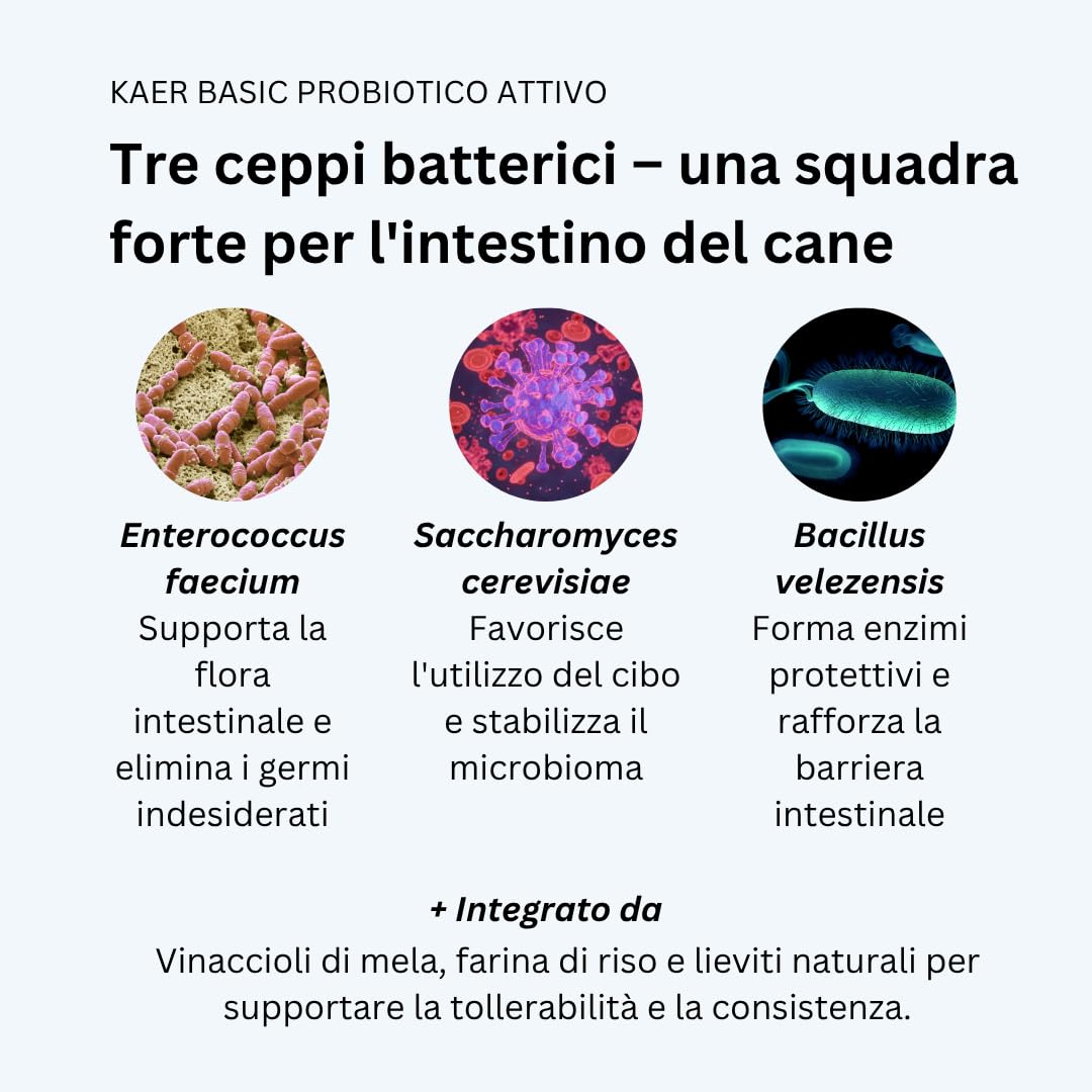 Probiotici per Cani con Batteri Vivi – Fermenti Lattici in Polvere per Flora Intestinale, Disintossicazione intestinale e in caso di diarrea, Gonfiore e Cura Post Antibiotici 500g