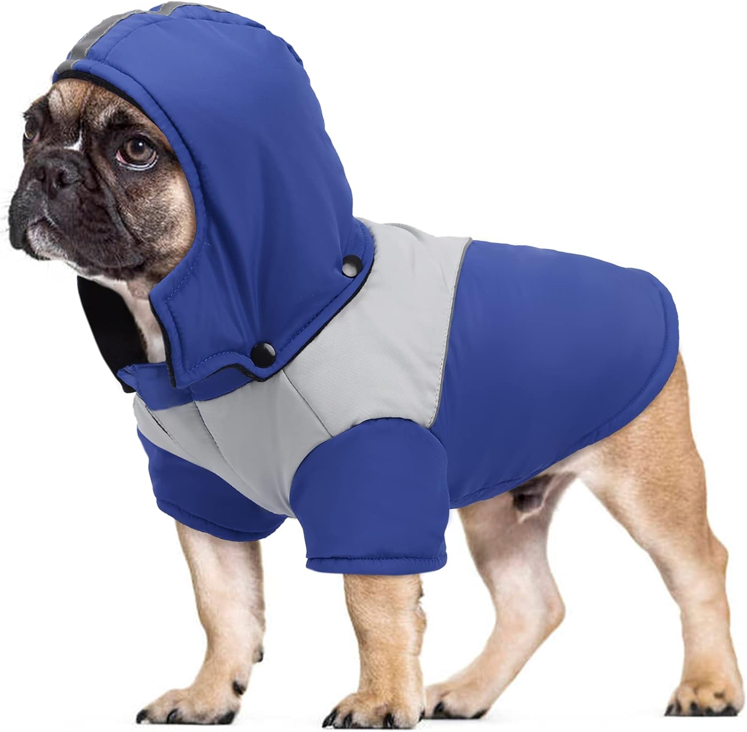 IDOMIK Dog Winter Jacket,Reflective Waterproof Dog Winter Coat Waterproof Warm Outdoor Fleece Cold Weather Coat With Detachable Hat,Pet…