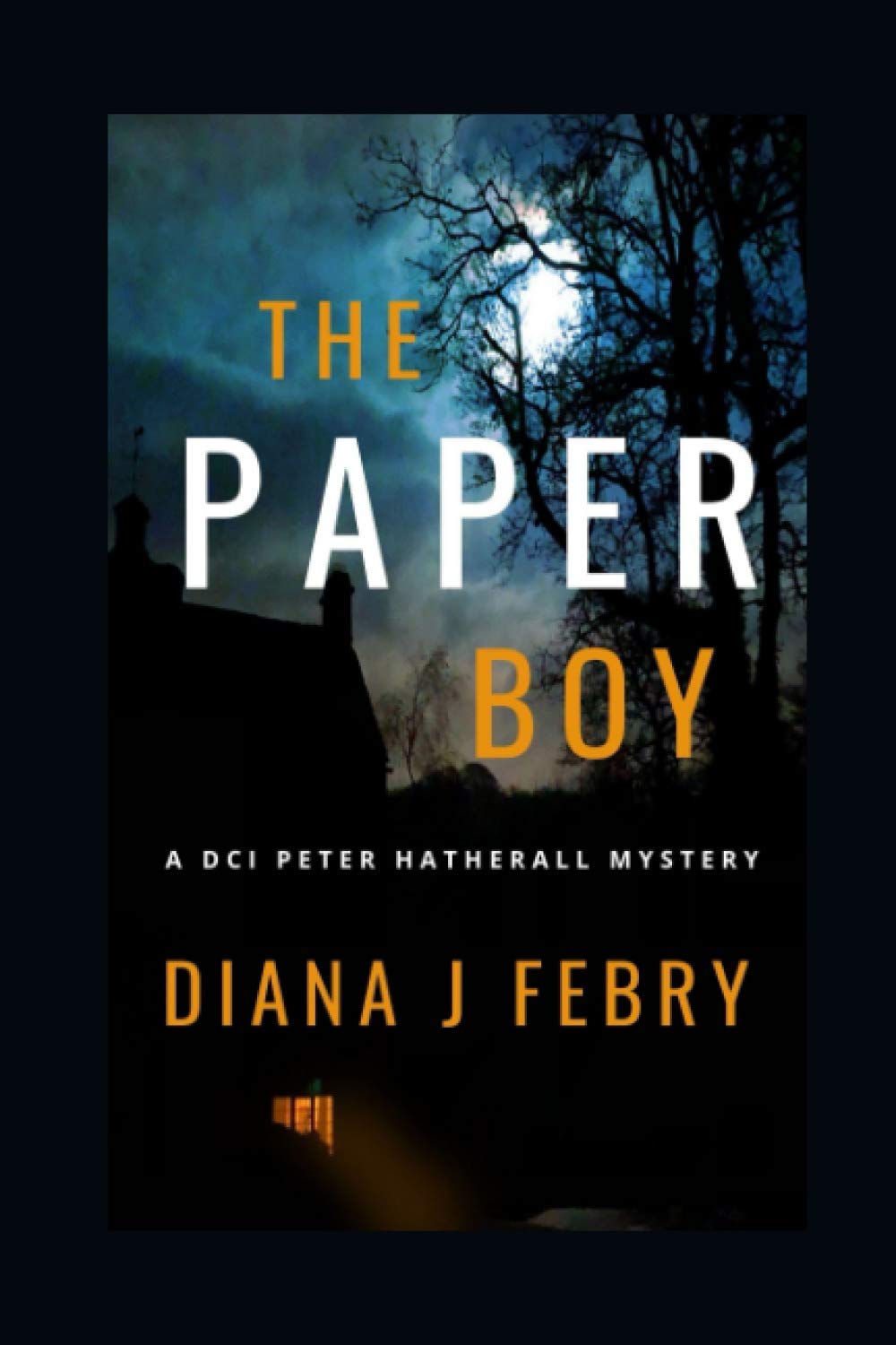 The Paperboy: A rural detective mystery (Peter Hatherall Mystery)