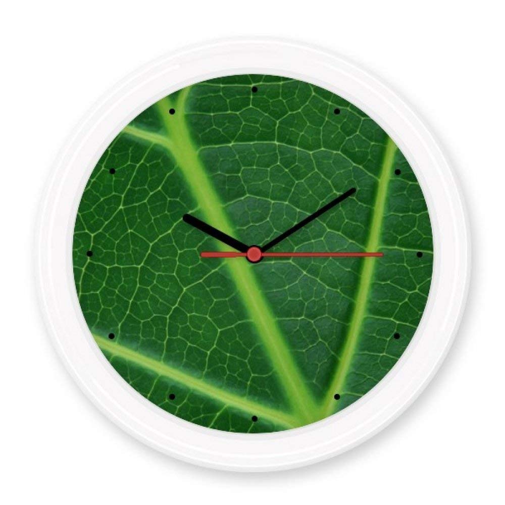 Horloge murale décorative motif plante cadeau idéal pour crémaillère