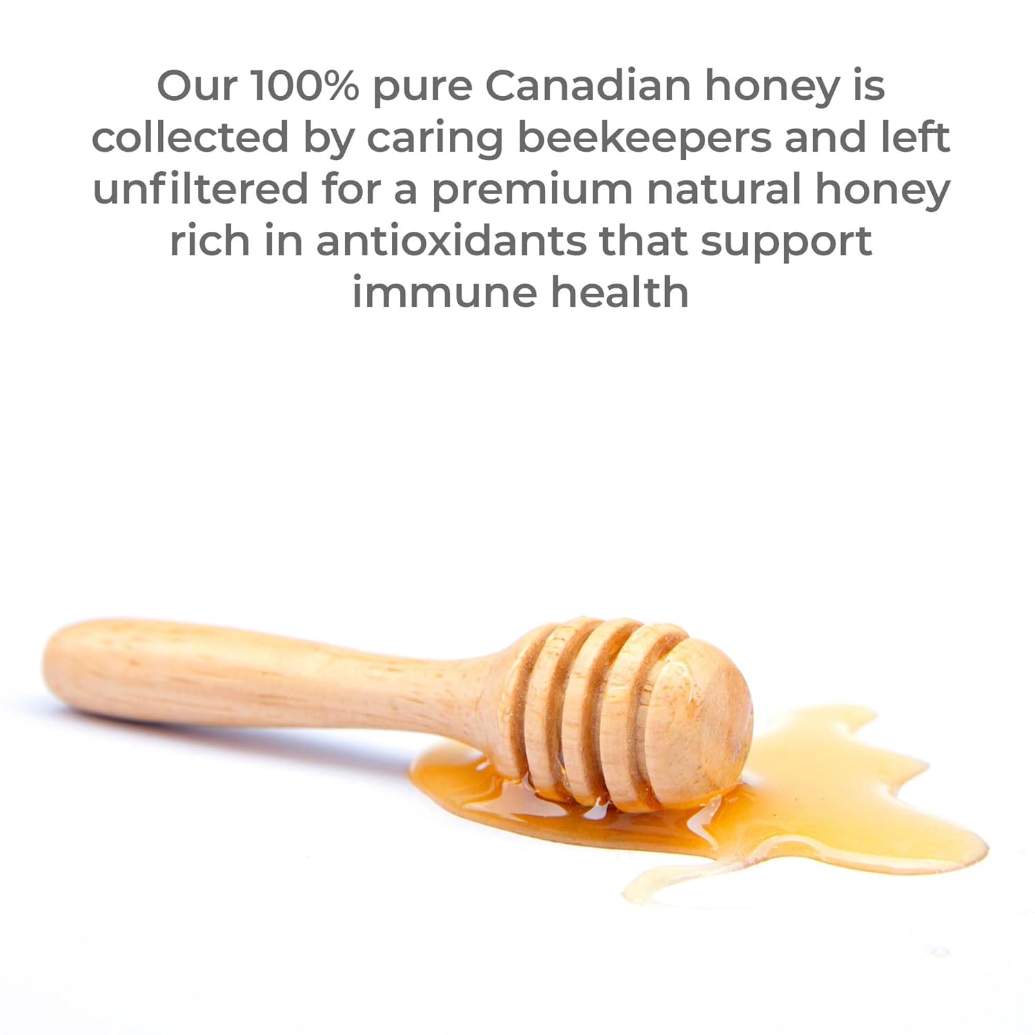 Premier Research Labs Canadian Gold Honey - Raw Honey, Pure Honey, Raw Unpasteurized Honey, Unfiltered, 100% Pure, Sugar-Free, Unprocessed Wildflower Honey - 1 lb Jar