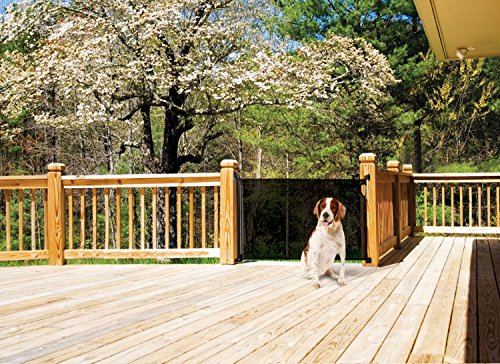 Dreambaby Indoor/ Outdoor Retractable Mesh Baby Gate, 2 Sets Of Hardware For Easy Relocation, 33” Tall And 55” Wide, For Doorways And Stairs - Black #TOP1