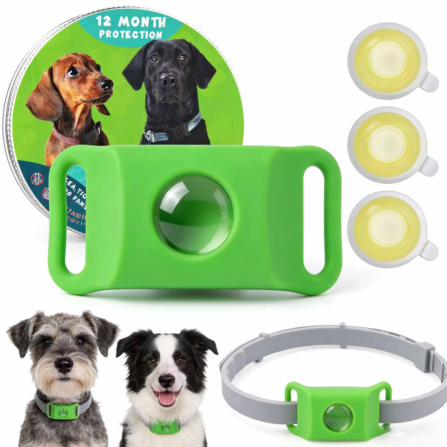 Everly — Pendentif Everly Chien, 12 Mois de Protégez Votre Chien naturellement, Everly Collier avec Tous Les Colliers pour Les Chiots et Les Animaux Sensibles (1PC)