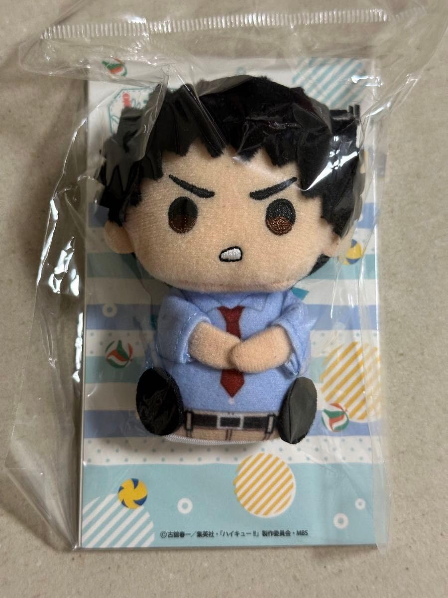 ハイキュー 岩泉一 にとたん ぬいぐるみ 指の上 2025年最新】指の上