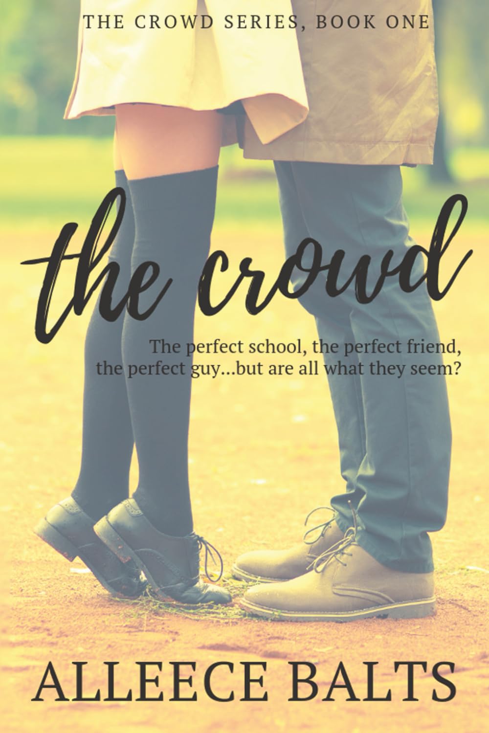 The Crowd: a novel about fitting in and standing out (The Crowd Series)