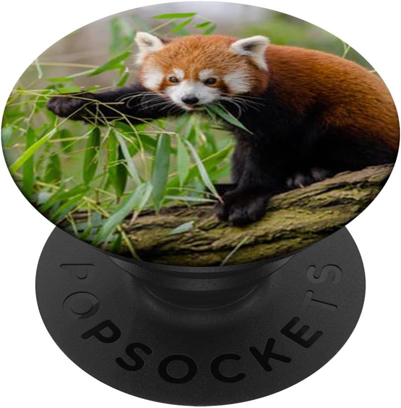 Cute Red Panda Fox Bear Lover Nature PopSockets Adhesive PopGrip