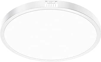 Ensenior 13 Inch Flush Mount Ceiling Light Fixture, 5CCT(2700K/3000K ...