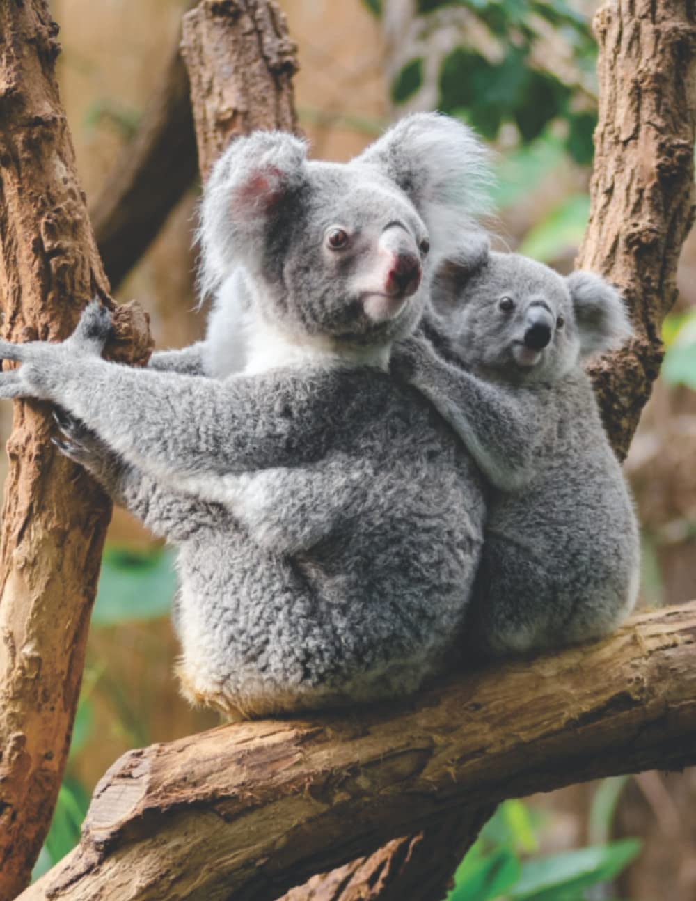 Koala Journal, Planner, Diary, Notebook. 8.5” x 11”, Matte finish, 100 pages. Give the perfect gift for someone that has everything.