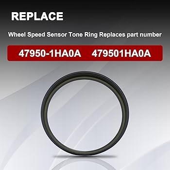 61seexRgHHL._AC_UF350,