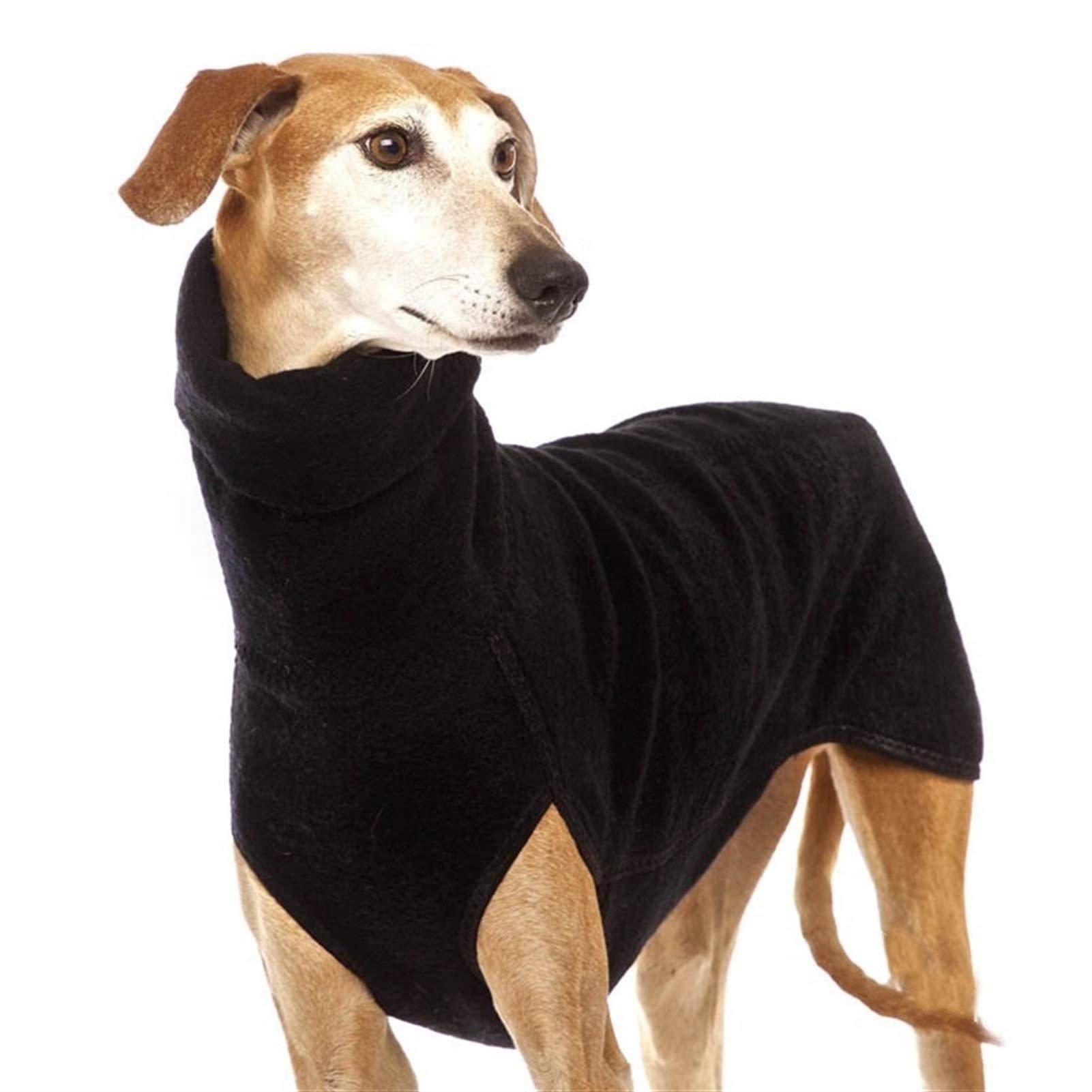 Vetements pour chiens frileux : manteau chaud noir col haut taille S