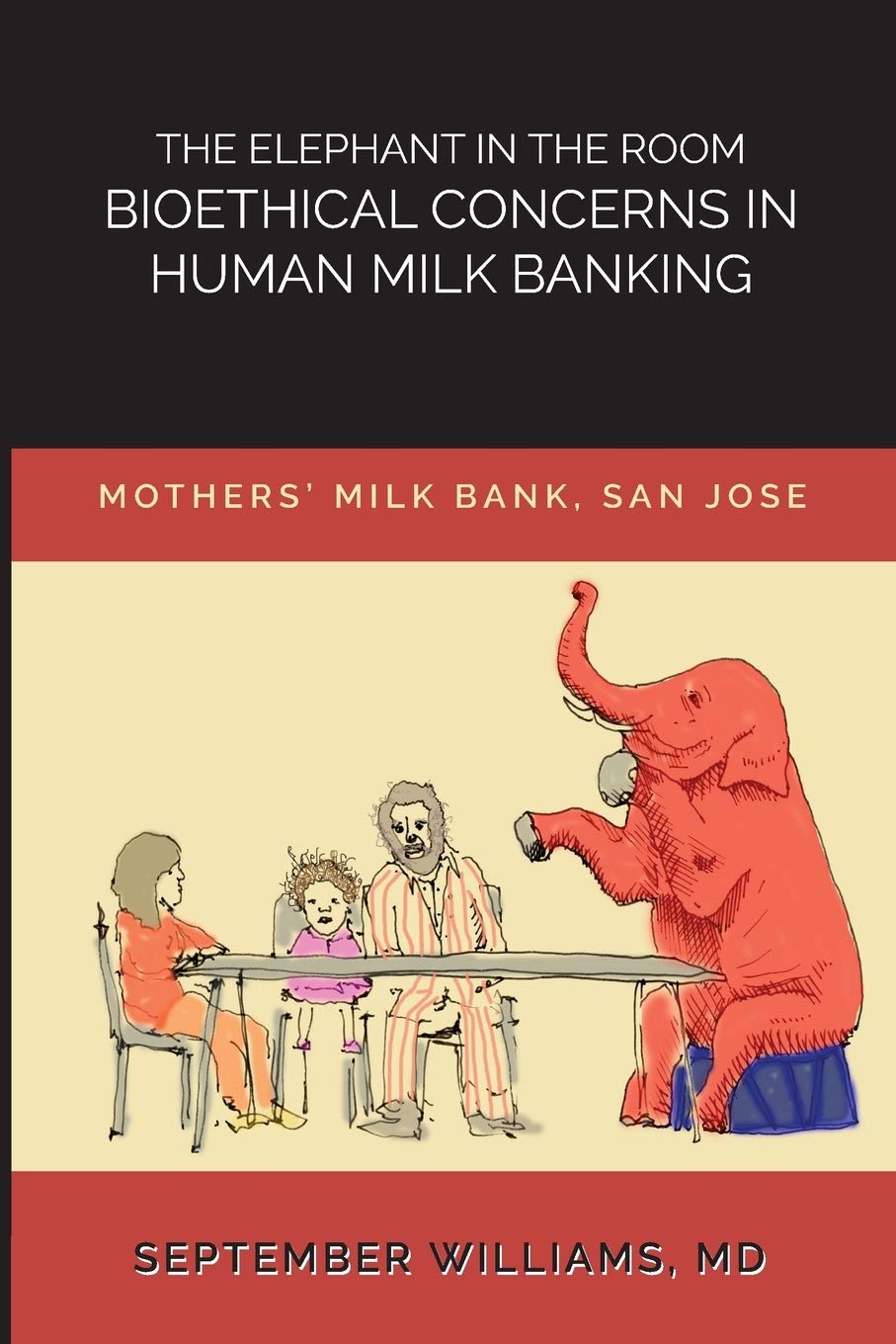 The Elephant in the Room: Bioethical Concerns in Human Milk Banking