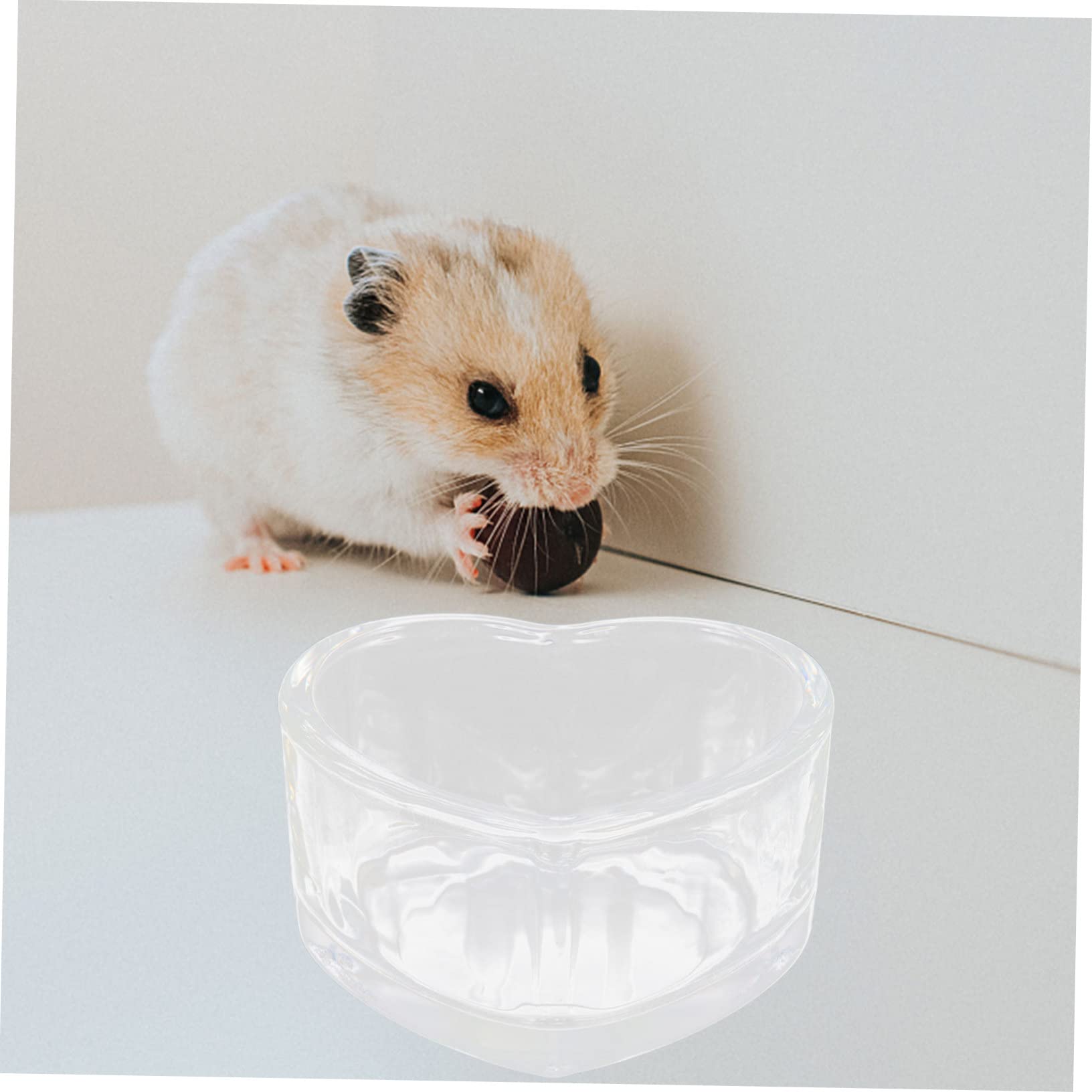 SUPVOX 8 Pz Ciotola Per Cibo Per Criceti Cavia Accessori Per Terrari Ciotola Per Topi Ciotola Per Cibo Per Porcellini D'india Ciotola Di Cibo Faraona Cibo Per Topi Transparent Bicchiere