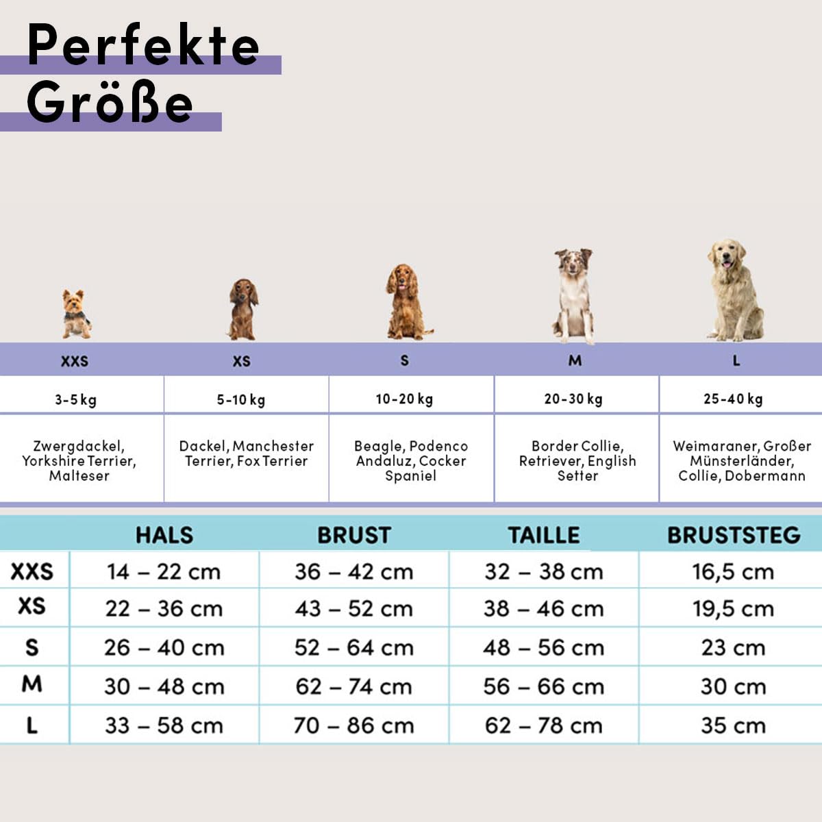 STUCH Arnés para perros – Arnés ajustable de nailon – acolchado – para perros pequeños, medianos y grandes (rojo, XS)