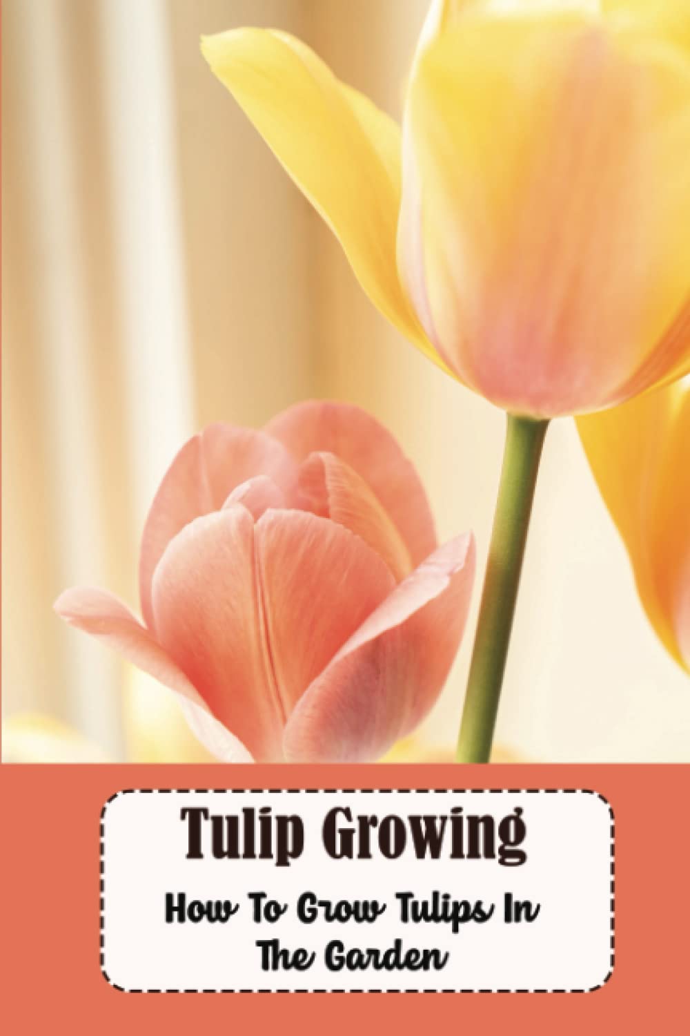 Tulip Growing: How To Grow Tulips In The Garden
