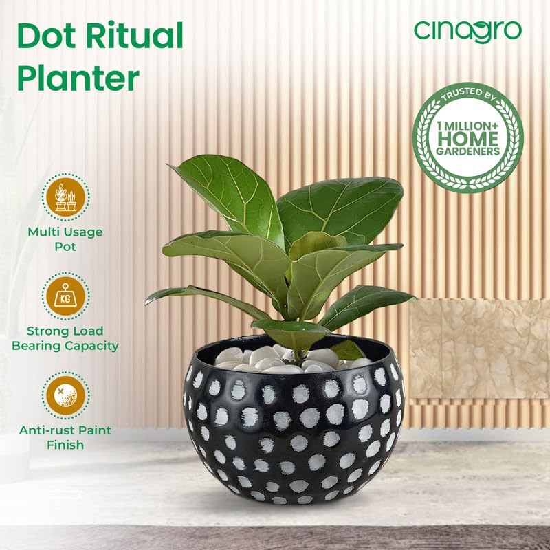 Image of CINAGRO Metal Planter Pot for Indoor Plants, Round Decorative Flower Pot, Rust-Resistant, Modern Plant Holder for Home, Balcony, Office (13.97 x 17.78 cm, Dot Ritual)