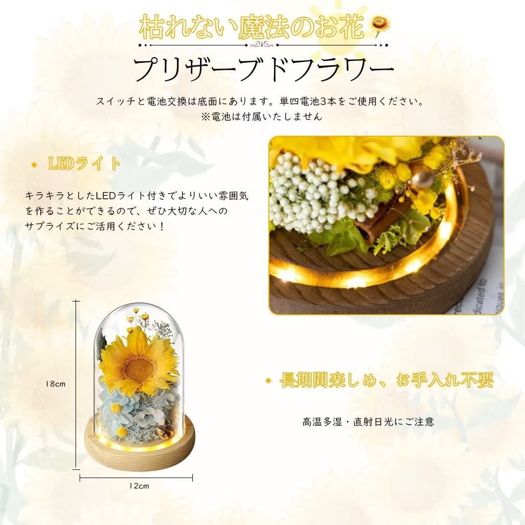 限定1点❣️LEDライト ガラスドーム ひまわり プリザーブドフラワー Amazon｜プリザーブドフラワー ドライフラワー ひまわり