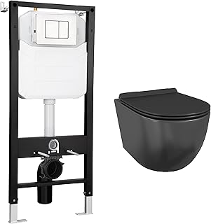 Eridanus Wall Hung Toilet with Tank, 2x6 In-Wall Toilet Tank Carrier, Wa...