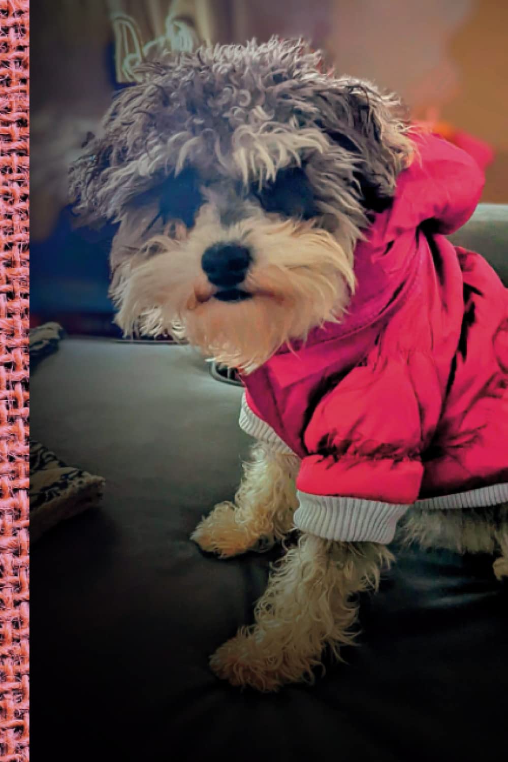 Blank Journal: Puppy Cuteness Cover