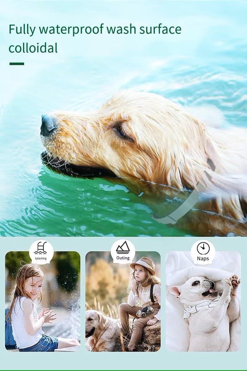 Dog Flea & Tick Collar, 8 Months Protection, Water-Resistant, Safe & Natural Ingredients, Effective for All Breeds, Tick Remover Collar 3
