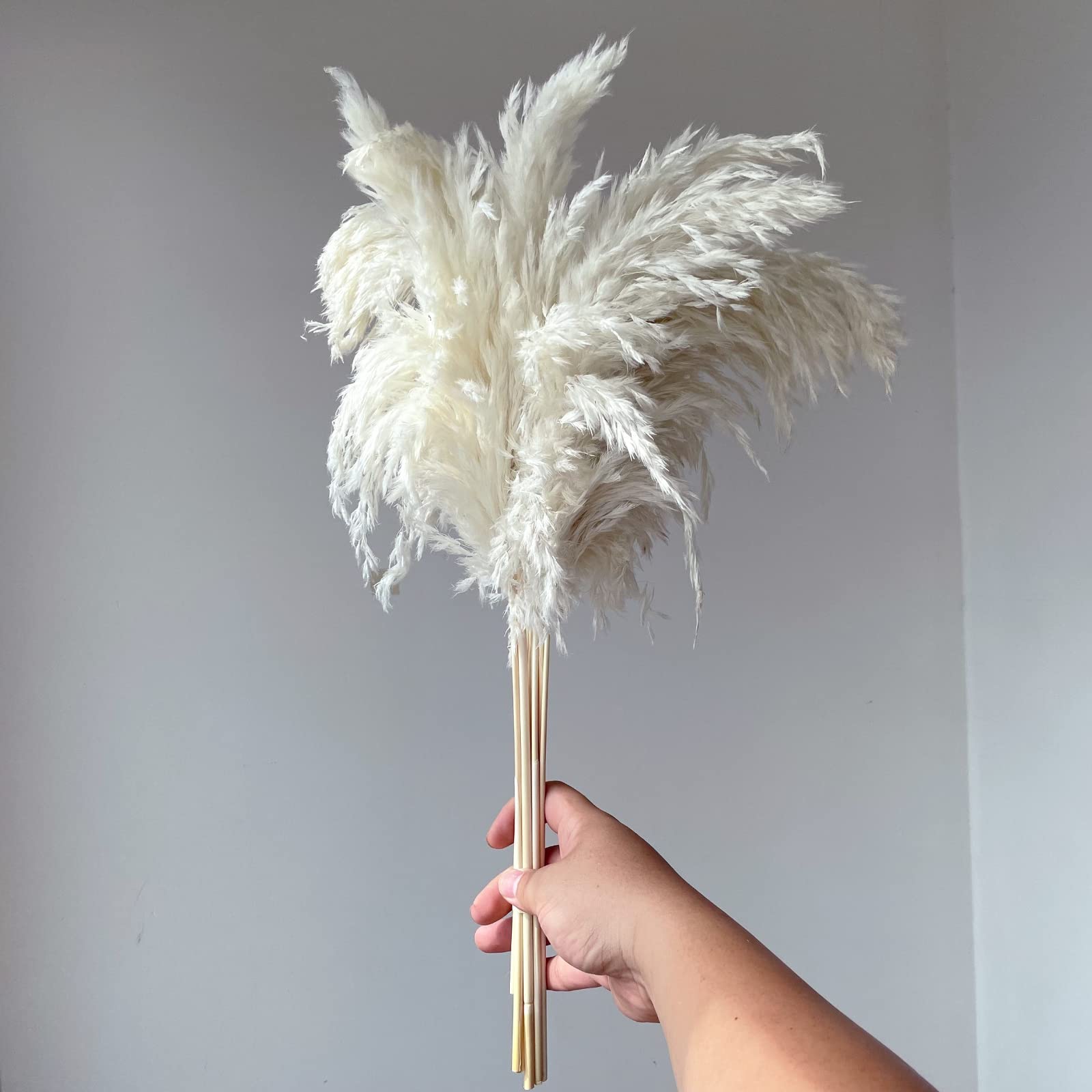 GOALS20 Pcs 23 Inch Tall Fluffy Pampas Grass XL Size White Dry Pompous Grass Decor Wedding Flower Boho Decor Natural Pompas Flower Bouquet…