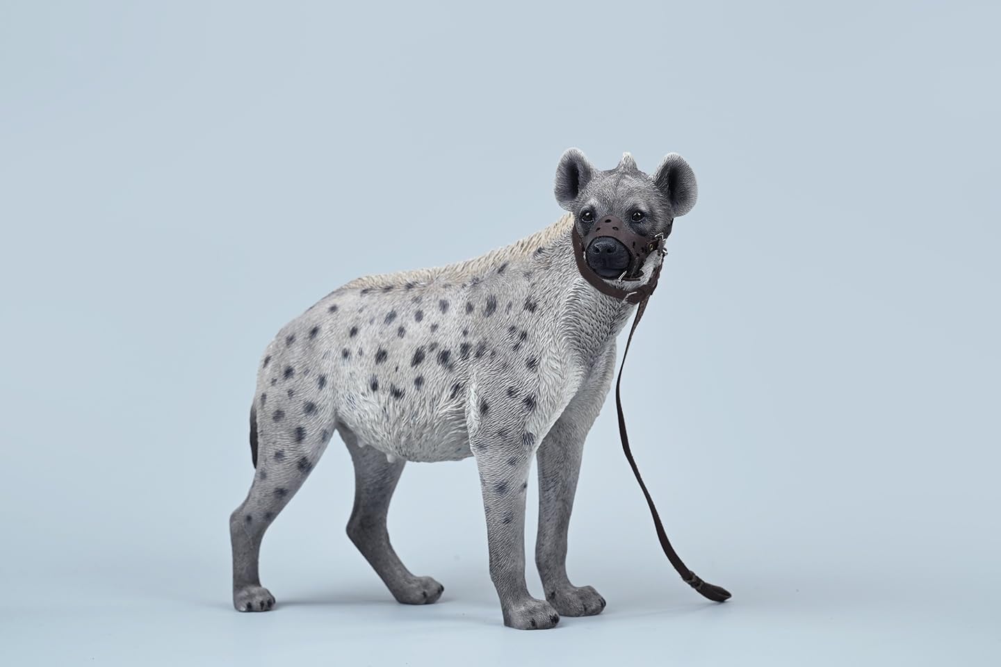 1:6 Scale African Hyena Model Hyaenidae Animal Figure Dog Collection Gift (JXK215A1)