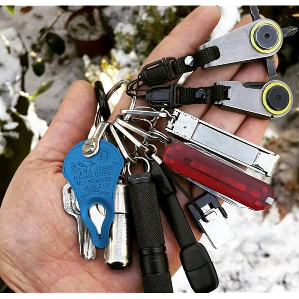 The Original Tick Key for Tick Removal 3 Pack The Original Tick Key for Tick Removal 3 Pack