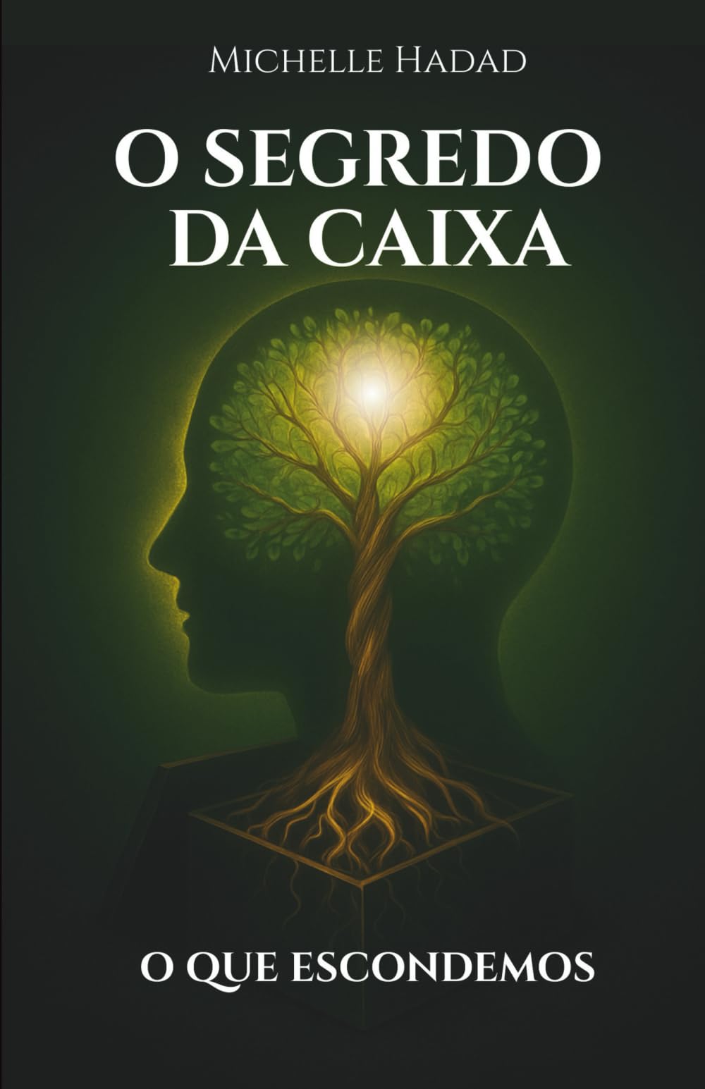 O SEGREDO DA CAIXA: O QUE ESCONDEMOS: 2