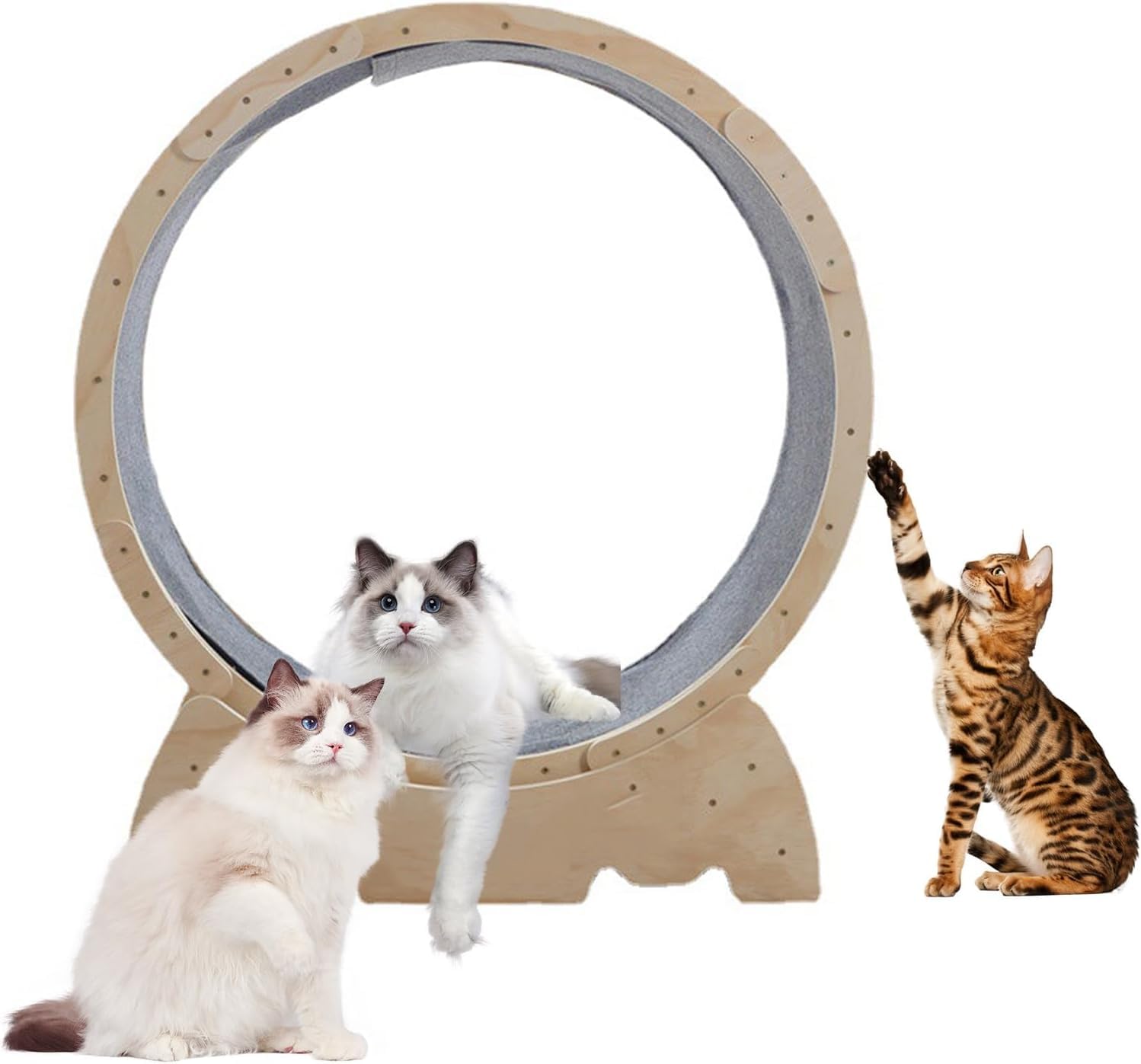 Calager Cat Wheel,44inch Cat Running Wheel for Indoor Cats, Cat Exercise Wheel with Carpeted Runway,Wooden Cat Treadmill,Pet Exercise Fitness Weight Loss Device for Kitten (Yellow)