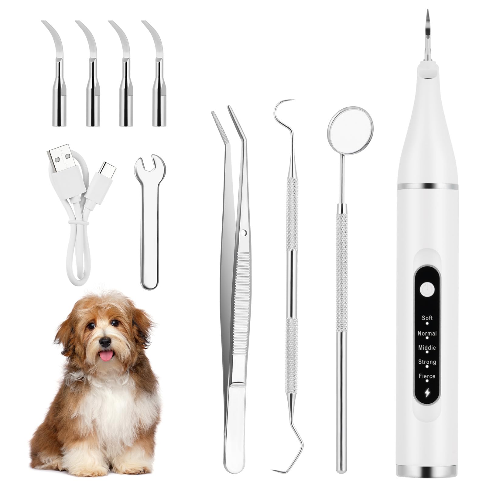 Aomig Electric Dog Plaque Remover 10Pcs Pet Dental Scaler with 5 Cleaning Modes 4 Cleaning Heads and LED USB Rechargeable Dental Care Kit