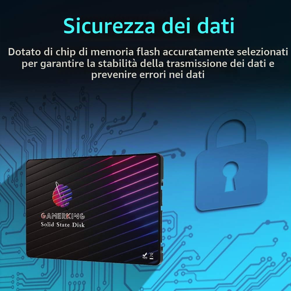 GamerKing SSD 2,5" SATA3 256GB interno disco a stato solido per laptop desktop SATA III 6 Gb/s 1 TB 512 GB 128 GB 64 GB disco rigido ad alte prestazioni (256GB, 2,5" SATA3)