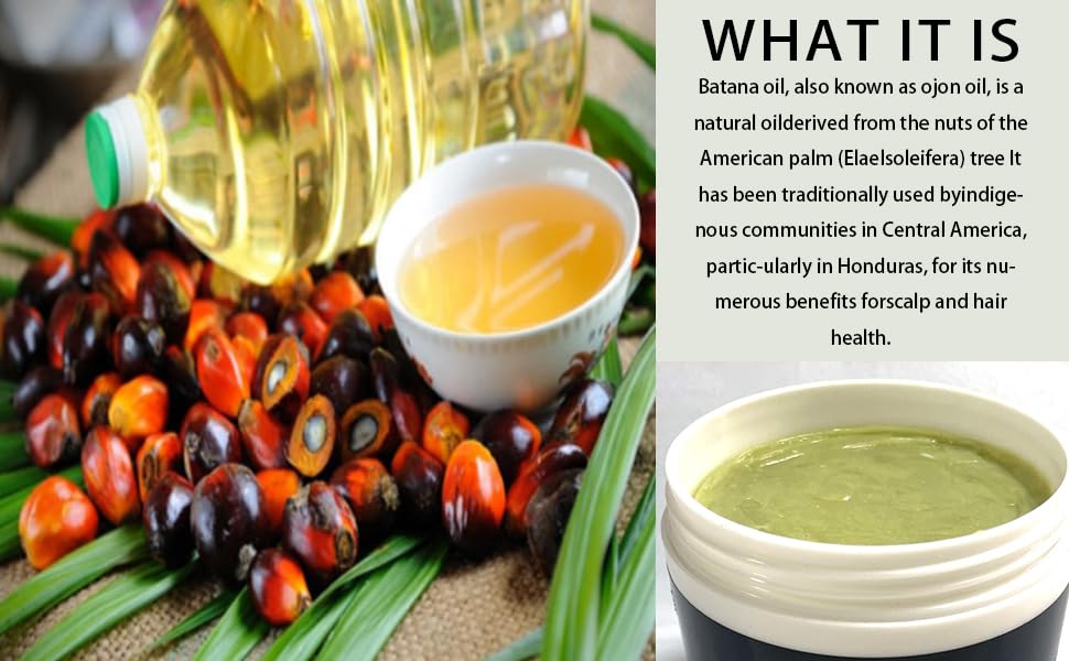 Miniatura 3 de Batana - Aceite de batana natural puro para el crecimiento del cabello, aceite de batana crudo sin refinar para un cabello visiblemente más grueso y