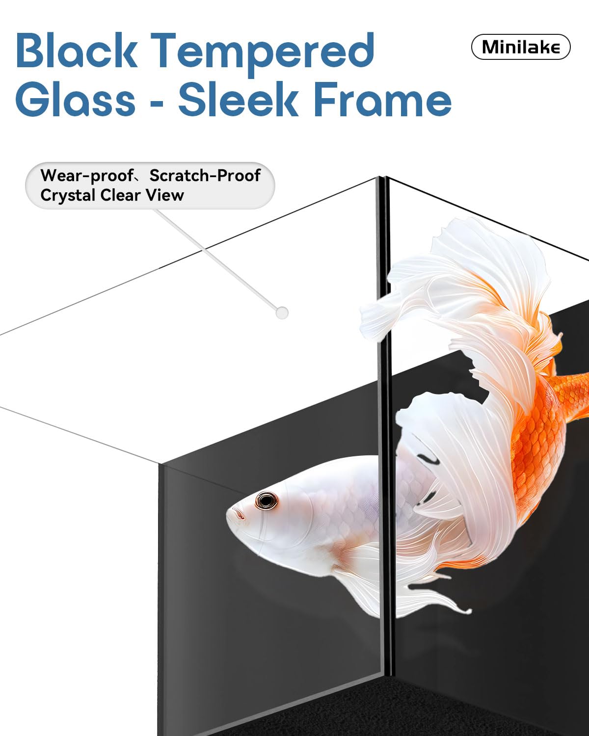 Betta Fish Tank in vetro da 3 galloni, starter kit con filtro, luci, coperchio