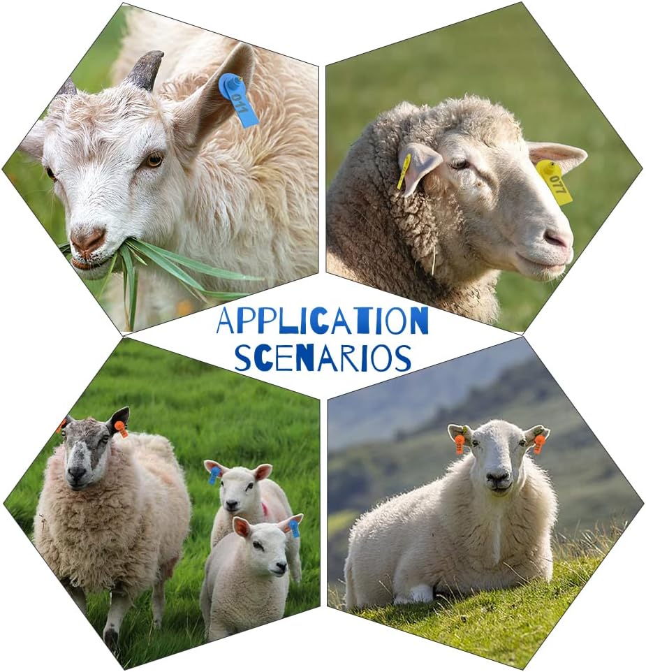 WMYCONGCONG 300 PCS 1-100 Number Plastic Livestock Ear Tag Animal Tag Blue Yellow Orange and Ear Tag Applicator for Goat Sheep