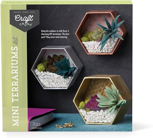 Craft Crush Kit de artesanía de mini terrarios, para hacer 3 terrarios geométricos con suculentas de fieltro de colores