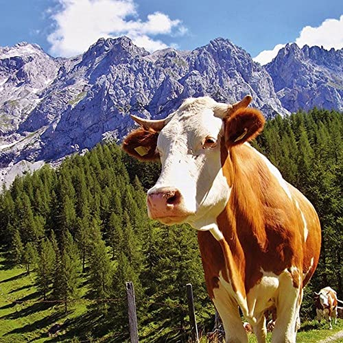 Lot de 20 serviettes de table Motif vache en haute montagne 33 x 33 cm