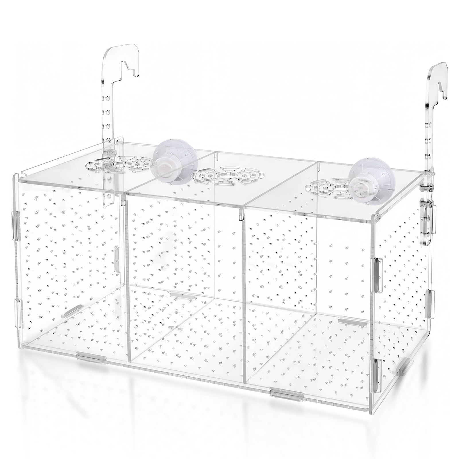 Sala Parto Guppy, Scatola Di Allevamento Per Acquario, Isolare Piantine E Sostenere L'incubazione