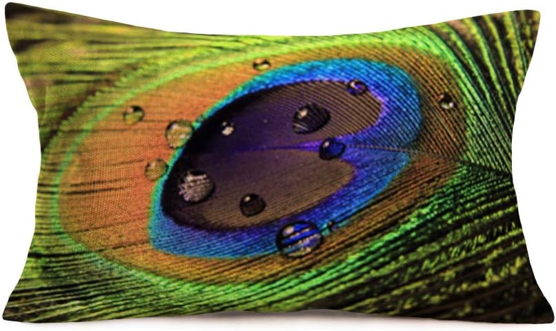 Natural Peacock Feather Throw Pillow Covers Cotton Linen Pillow Covers Colorful Feather with Dew Design Cushion Covers Outdoors Couch Sofa Home Pillow Case 12"x20" (NP-Feather-1)
