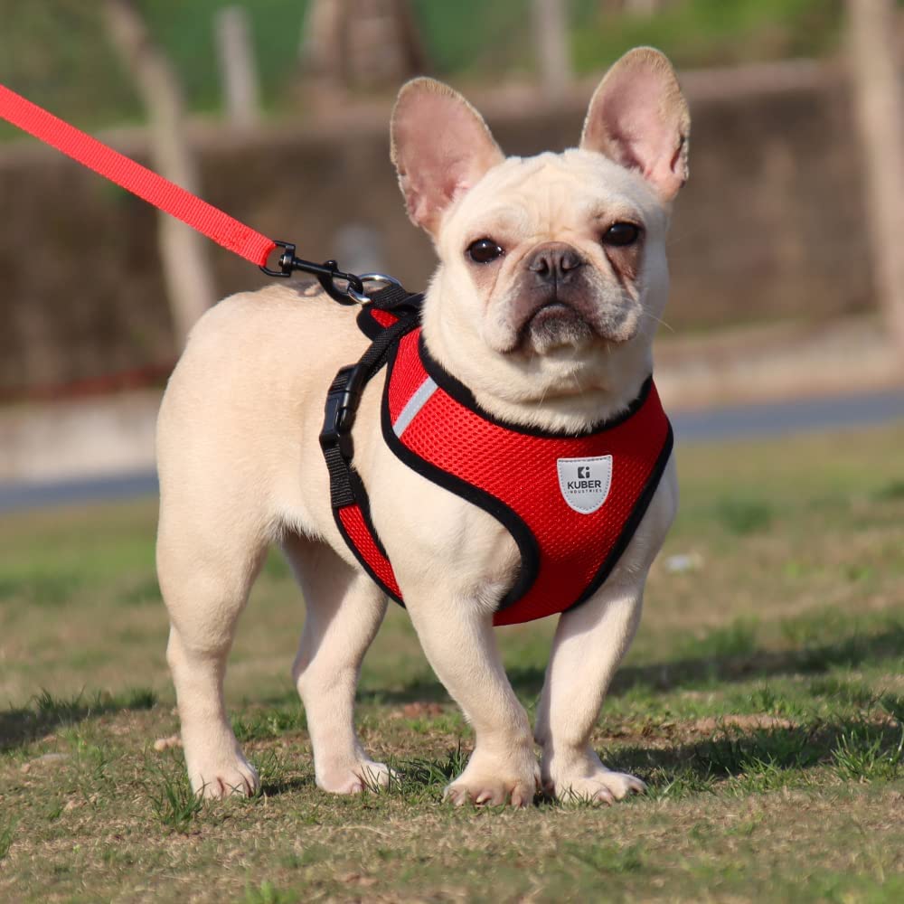 See full amazon price history chart for Kuber Industries Small Dog/Cat Chest Harness with Nylon Leash I No Pull, Soft Padded and Breathable Pet Vest I Adjustable, Reflective I Easy Control Pet Chest Belt I (X-Small,Red) Kuber Industries Small Dog/Cat Chest Harness with Nylon Leash I No Pull, Soft Padded and Breathable Pet Vest I Adjustable, Reflective I Easy Control Pet Chest Belt I (X-Small,Red) (B0C2Z9NZHF) Amazon Price History, Amazon Price Tracker