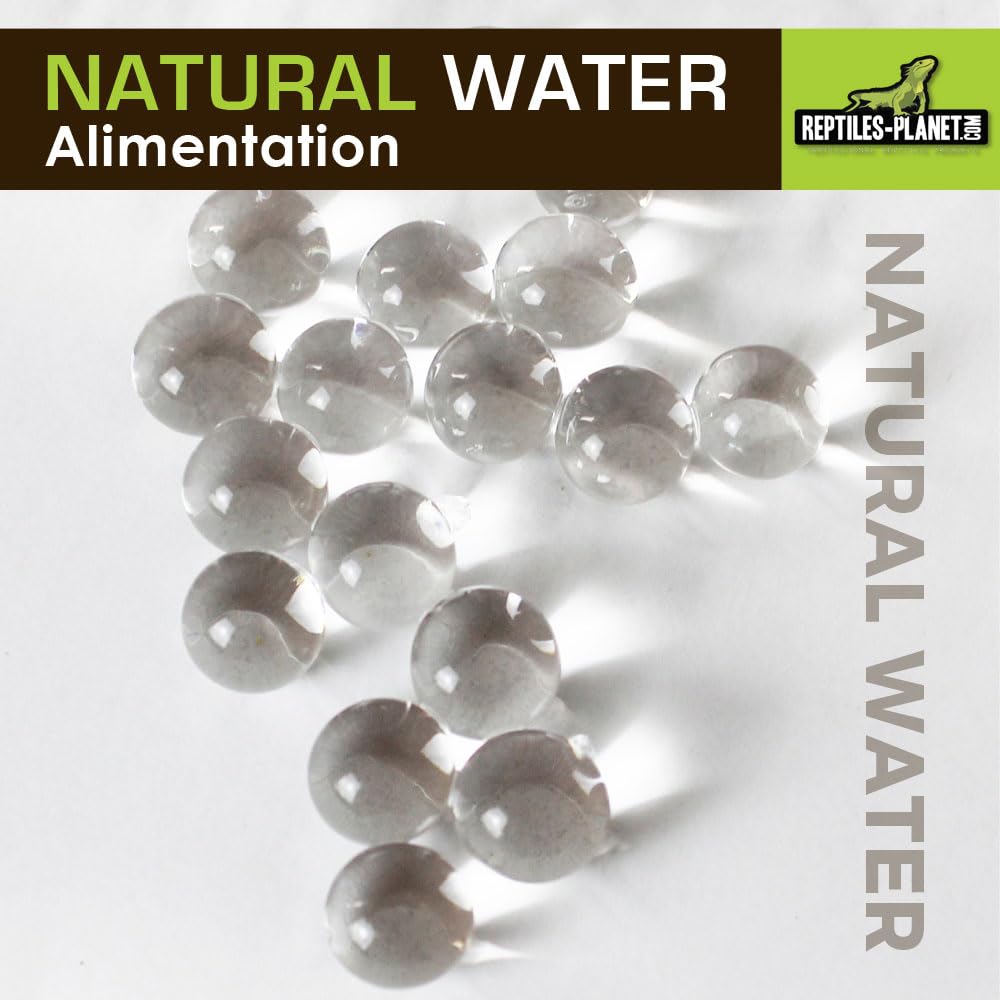 Reptiles Planet - Natural Water - Billes d'Eau Gélifiée - 500 ml