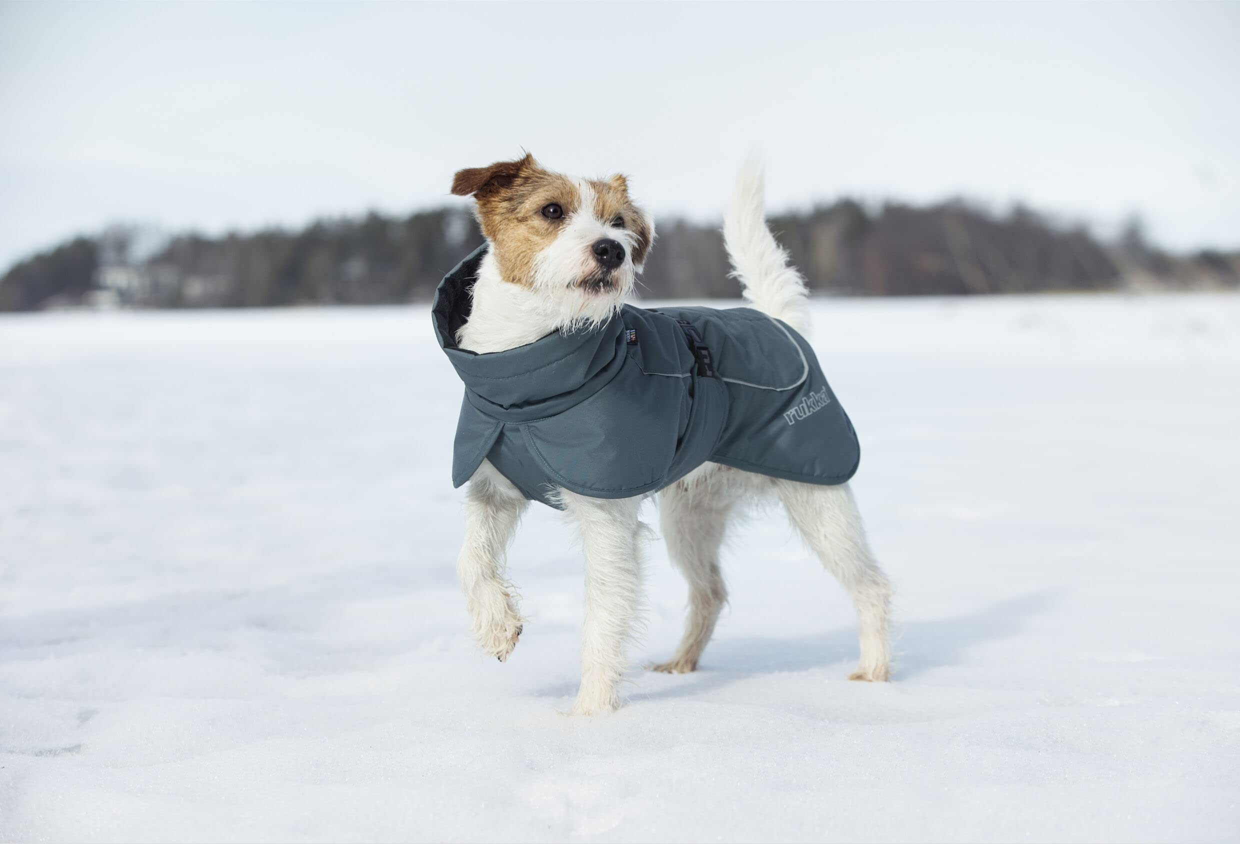 Rukka Pets Stormy Coat płaszcz dla psów, kolor oliwkowy 40